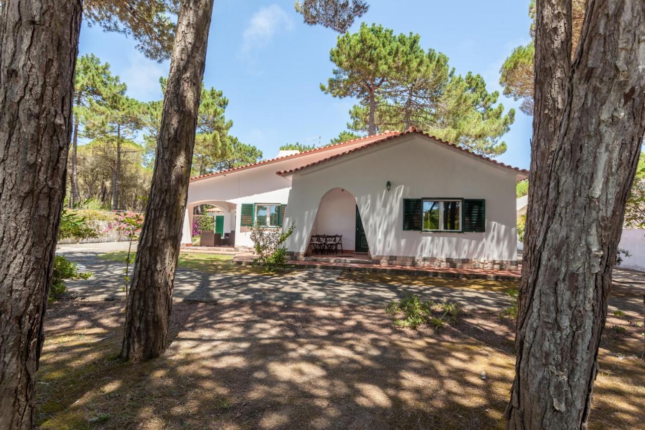 Вилла Ocean, Pines And Mountain - Renovated February 2025 - Ac Коларес Экстерьер фото