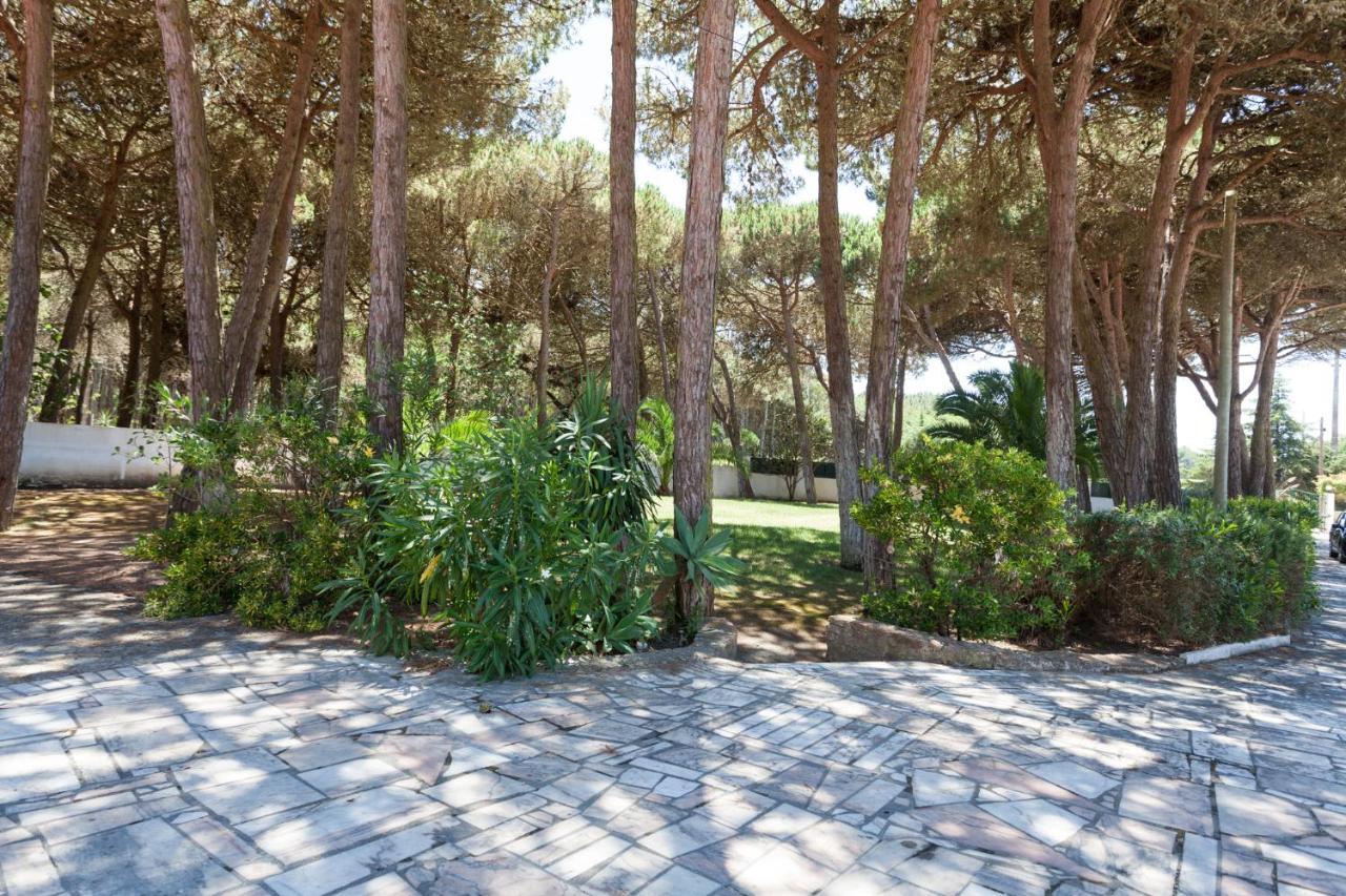 Вилла Ocean, Pines And Mountain - Renovated February 2025 - Ac Коларес Экстерьер фото